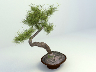 3d model bonsai free download