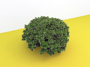 plant and grass 3d models