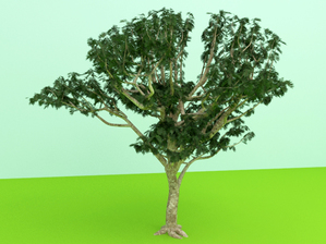 3d tree models