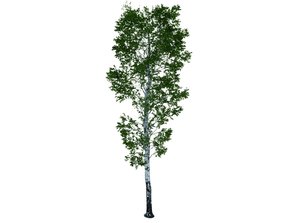 Trees 3d model free download