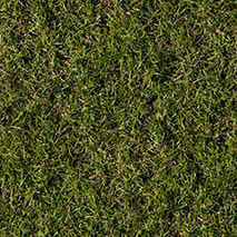 grass texture hd 31