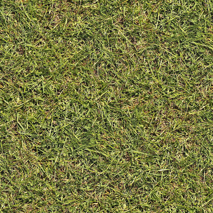 grass textures seamless 16
