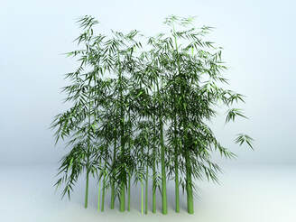 3D models of plants - outdoor bamboo plant 2