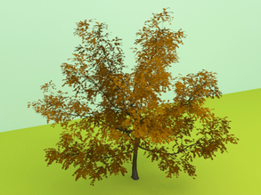 free tree, 3d model tree