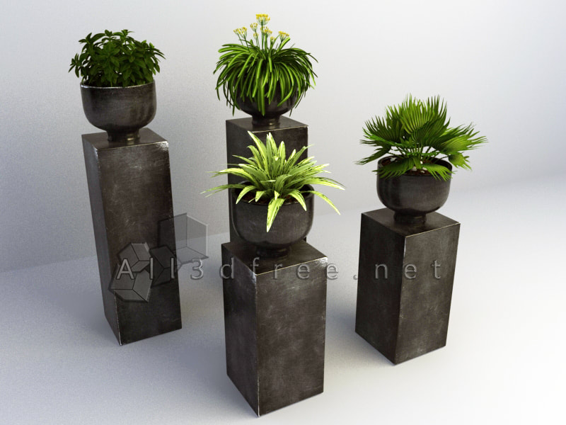 free 3d model collection - Modern Potted Plants 007