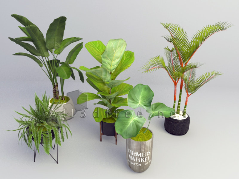 free 3d model collection - Modern Potted Plants 009