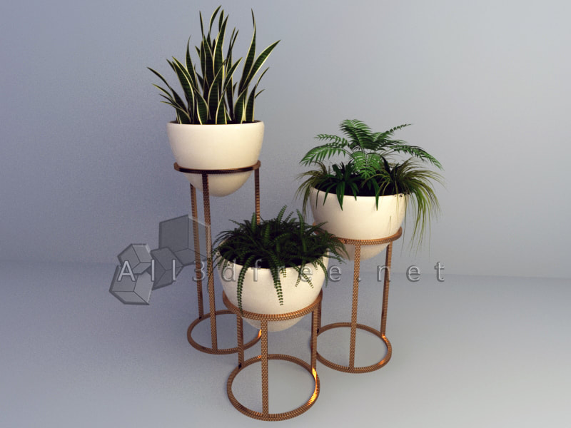 free 3d model collection - Modern Potted Plants 010