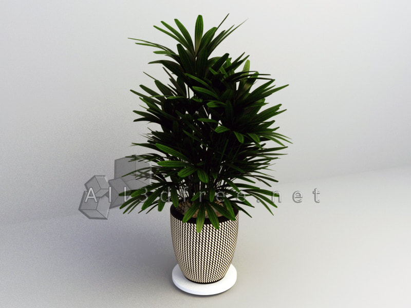 free 3d model collection - Modern Potted Plants 012