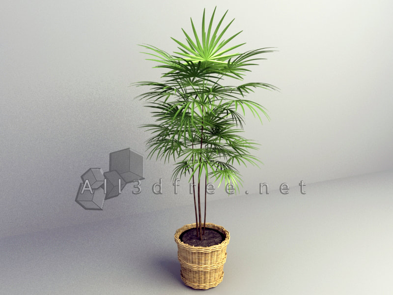 free 3d model collection - Southeast Asia potted plants 005