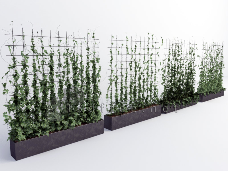 free 3d model collection - Vine plants 001