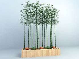 3D models of plants - bamboo plant 1