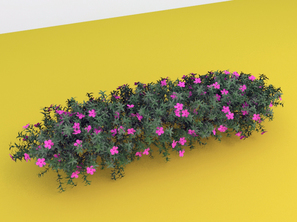 3d model flower texture