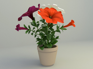 free 3D Model flower