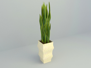 free 3D Model plant display download