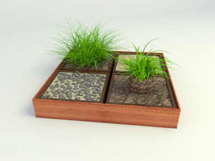 3d model bonsai free download