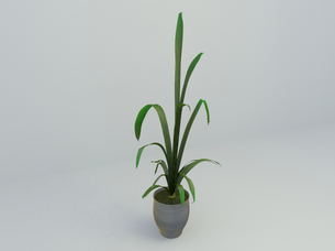free 3D Model indoor plant free download