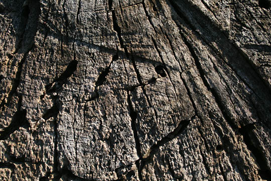 distressed wood textures 3
