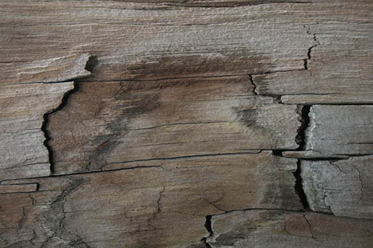 distressed wood textures 5