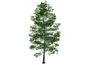 Trees 3d model free download