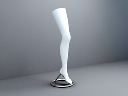 free 3D model leg figure 003