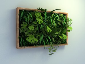 wall plants display design
