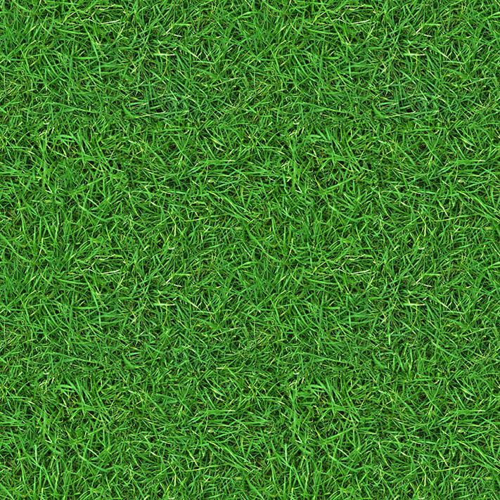 (GRASS 2) grass textures seamless turf lawn green ground field texture 1
