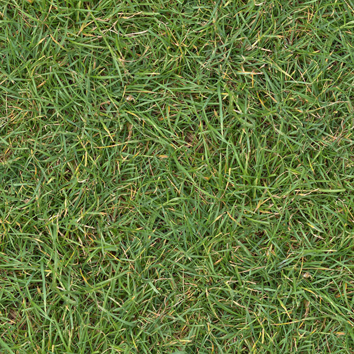 (GRASS 2) turf lawn green ground field grass textures seamless 2