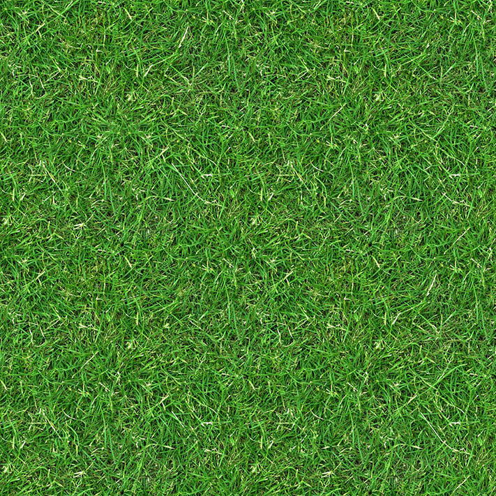 (GRASS 3)grass textures seamless turf lawn green ground field texture 3