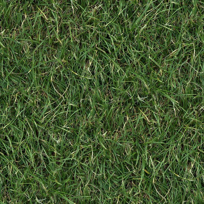 (GRASS 3) turf lawn green ground field grass textures seamless 4