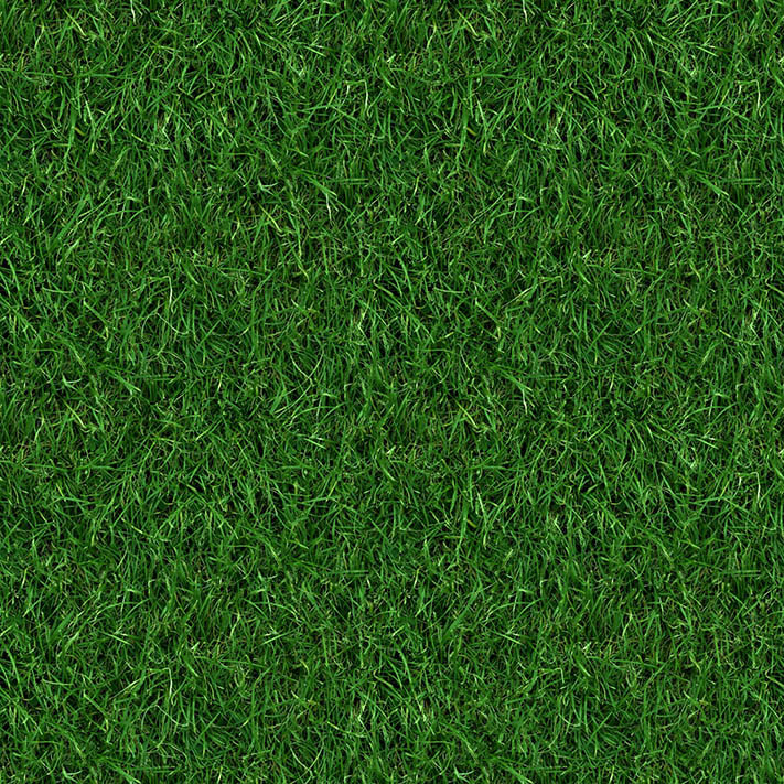 (GRASS 4) grass textures seamless turf lawn green ground field texture 5