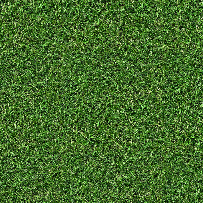 (GRASS 5) grass textures seamless turf lawn green ground field texture 7