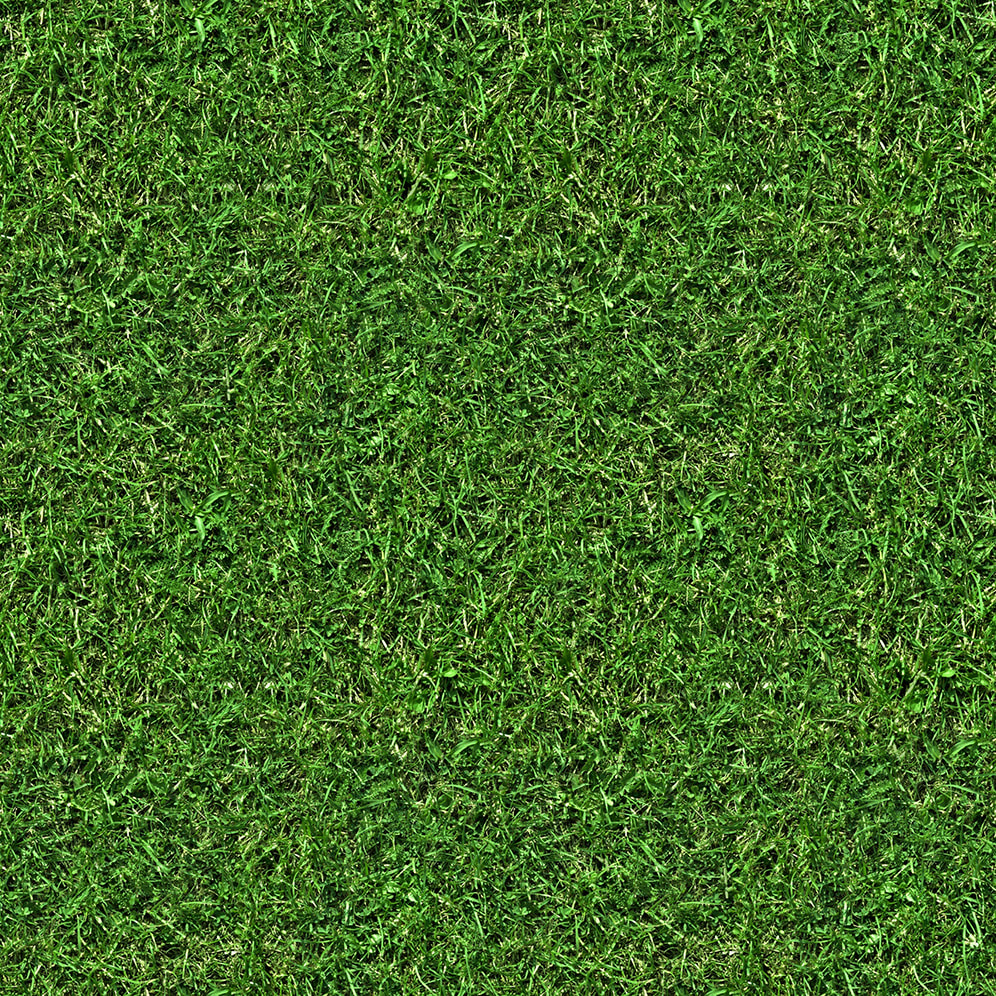3d Textures Grass Collection Free Download 