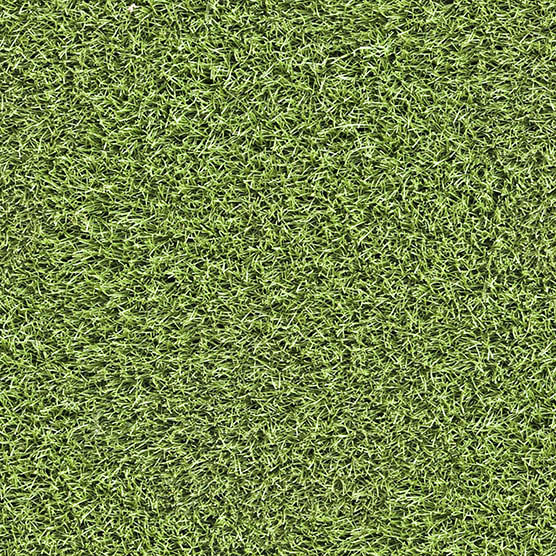 grass textures free 26