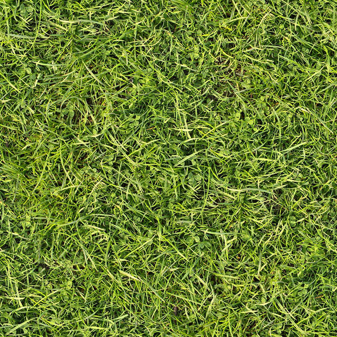 grass textures seamless 18