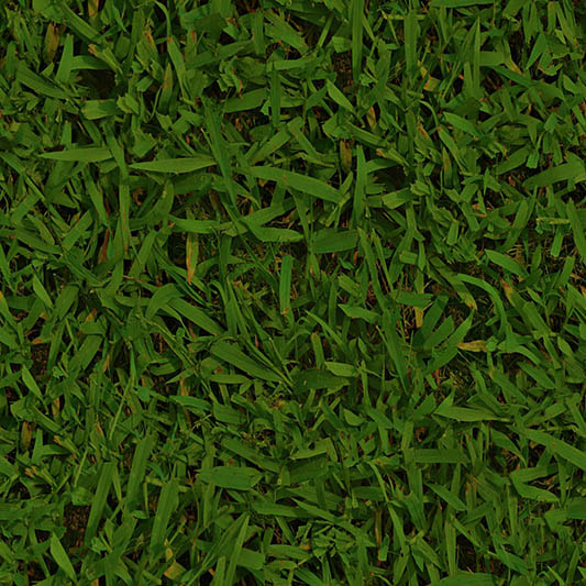 grass textures seamless 32