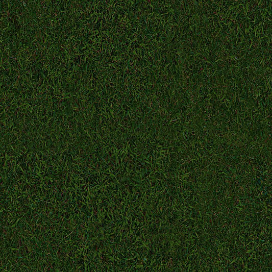grass textures seamless 35