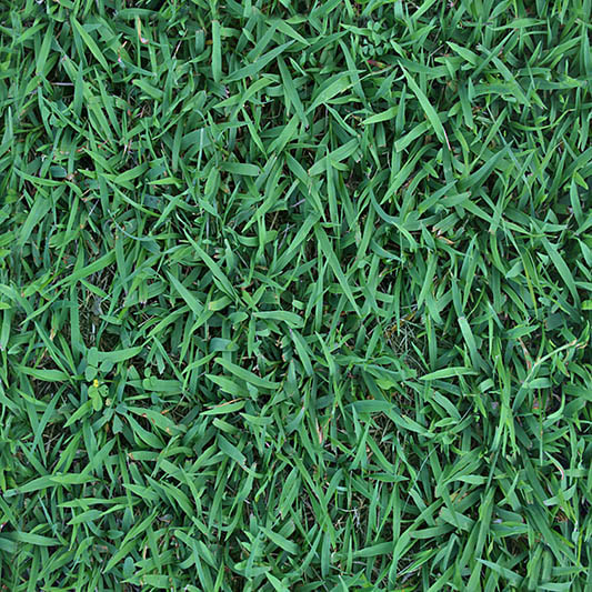grass textures seamless 37