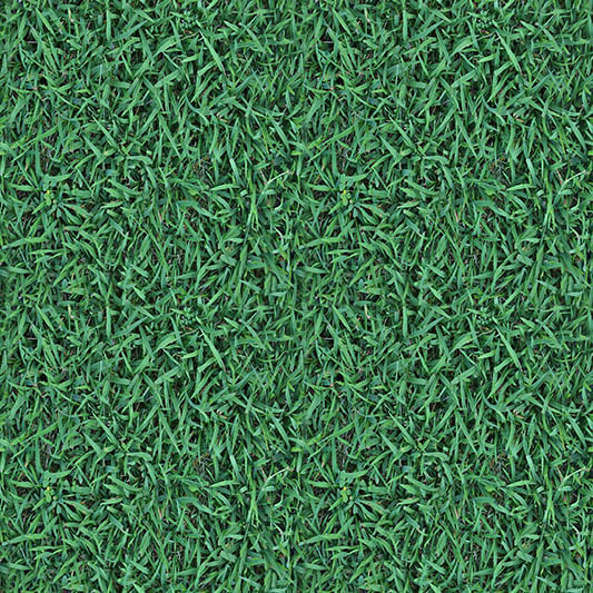 grass textures seamless 38