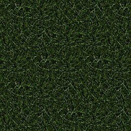 grass textures seamless 39