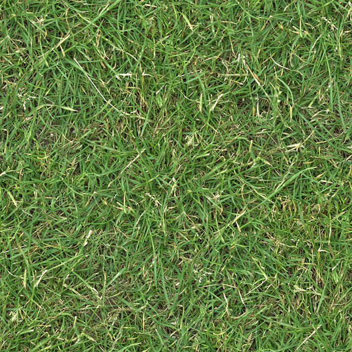 Grass turf lawn green grass textures free 21