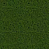 Grass 2D texture, 3D texture, CG texture collection