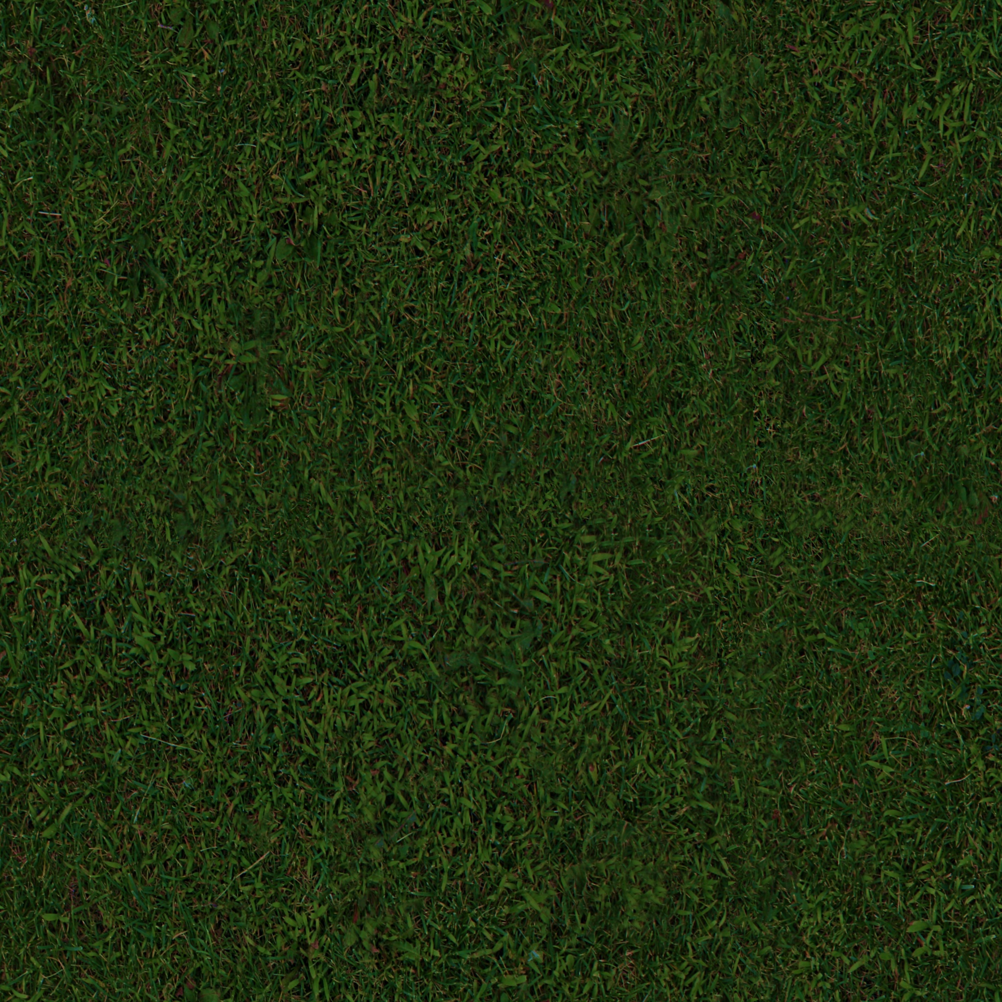 Grass Texture Seamless Hd 