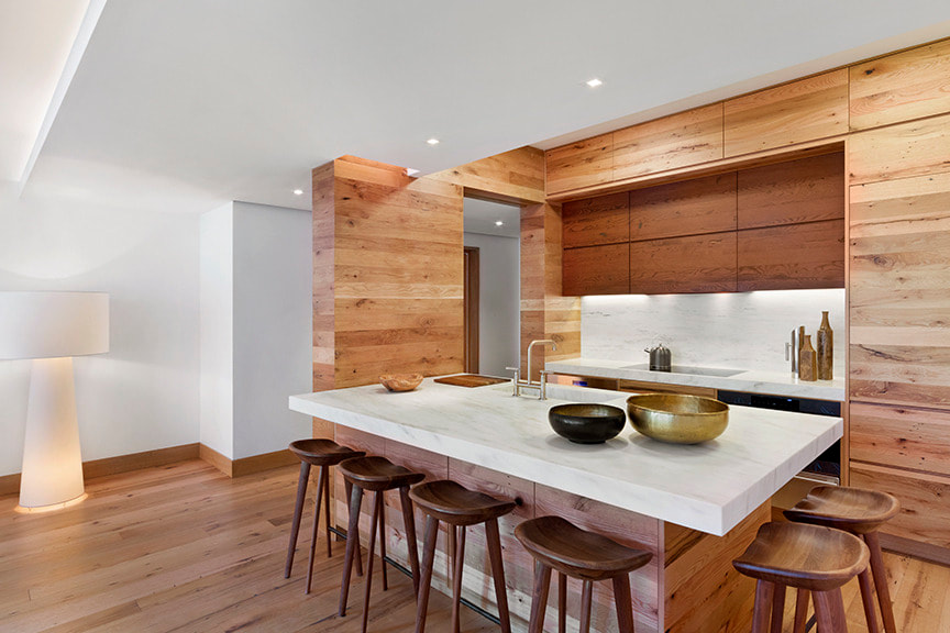 kitchen style with "wood timber" concept look