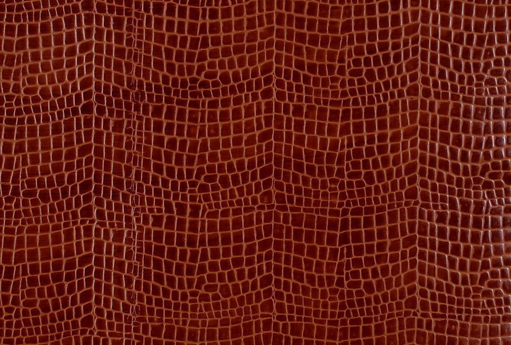 leather texture 5