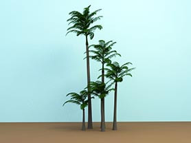 palm tree 3d models - palm tree 11