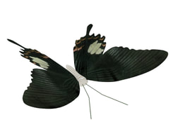 3D model darkness Butterfly free download