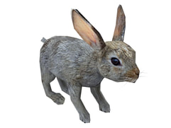 3D model rabbit animal download