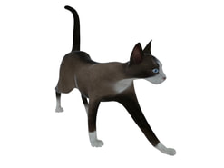 3D Model Cat free download