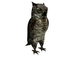 3D Model Owl animal download