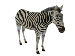 3D Model Zebra animals download